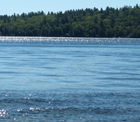 lake photo